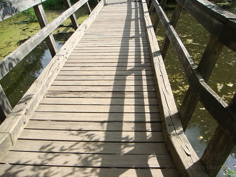 069 Longwood Gardens [2008 August 23].JPG - Longwood Gardens in Pennsylvania